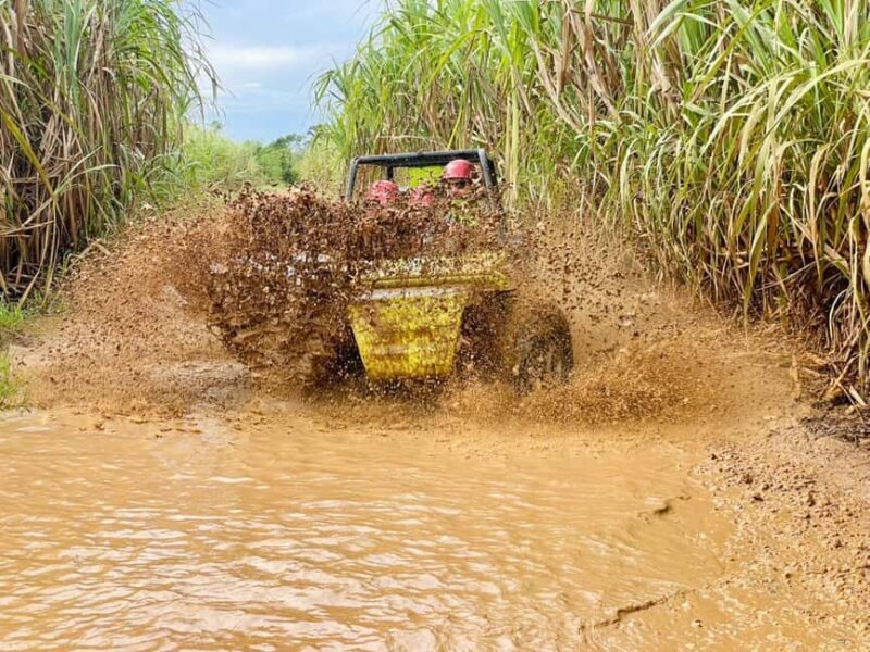Bayahibe: Jungle Off-Road Buggy Adventure - Key Points