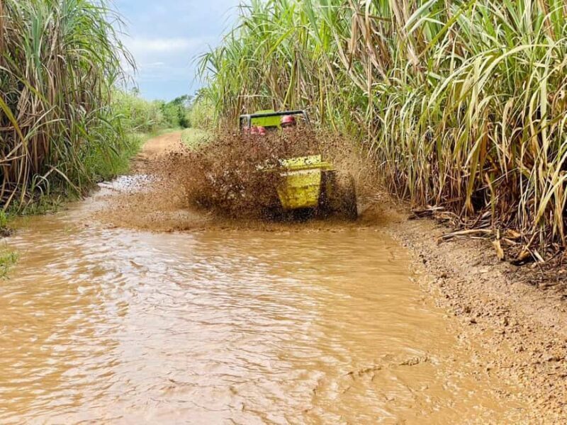 Bayahibe: Jungle Off-Road Buggy Adventure - FAQs