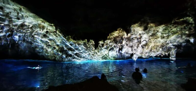 Bayahibe: National Park Jungle Walk & Snorkeling in Cenotes - An In-Depth Look at the Tour Experience