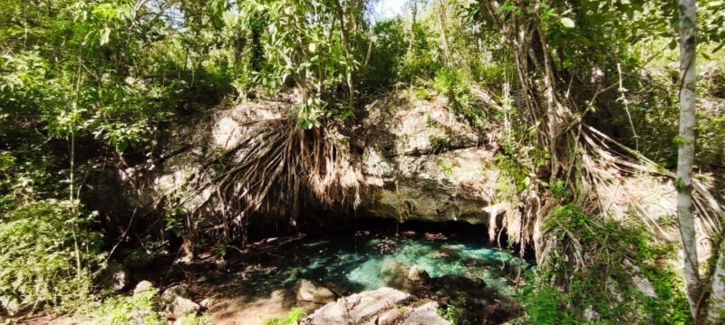 Bayahibe: National Park Jungle Walk & Snorkeling in Cenotes - The Sum Up