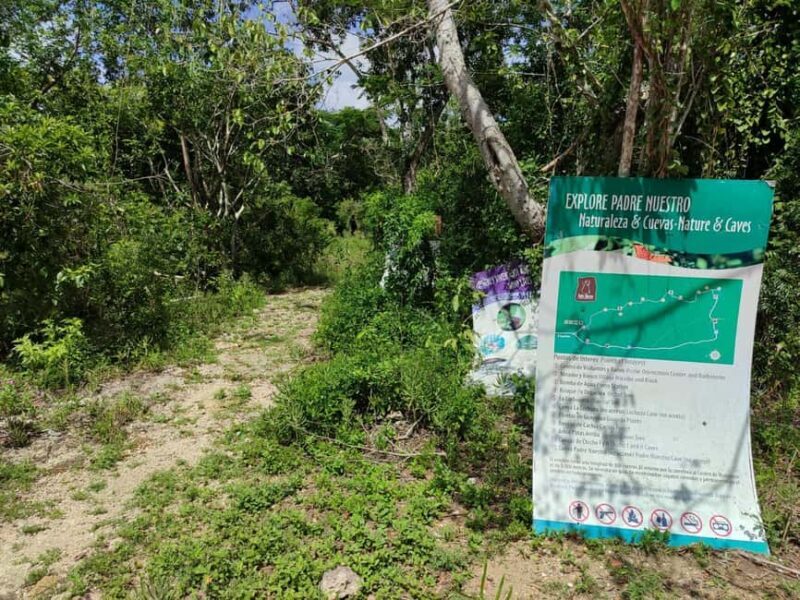 Bayahibe: National Park Jungle Walk & Snorkeling in Cenotes - FAQ