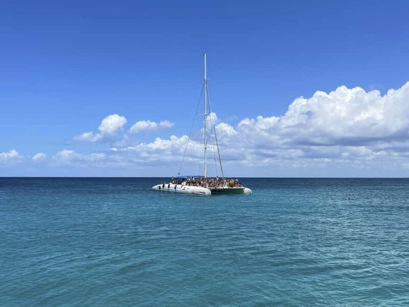 Bayahibe: Saona Island Boat Tour Small Group - Who Should Consider This Tour?
