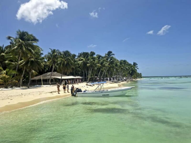 Bayahibe: Saona Island Boat Tour Small Group - Final Thoughts – Is it Worth It?