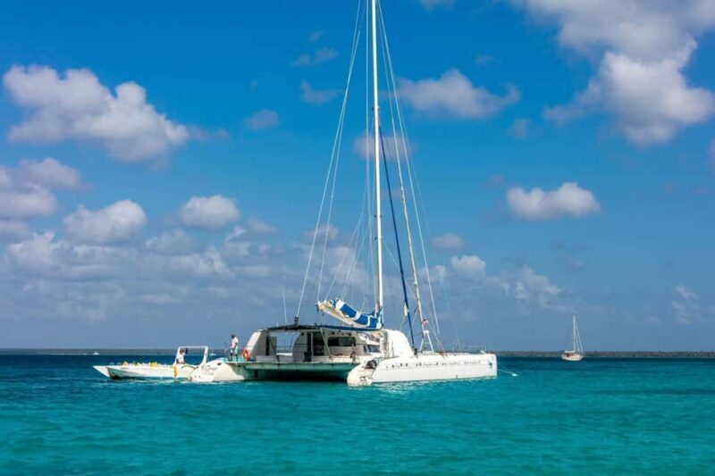 Bayahibe: Saona Island Catamaran Cruise with Natural Pool - Key Points
