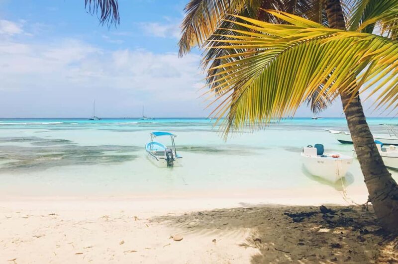 Bayahibe: Saona Island Sailing in catamaran with open bar - Key Points