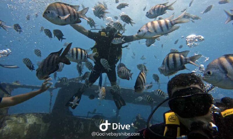 Bayahibe: Scuba Diving Initiation by Go Dive Bayahibe - What It’s Like Underwater