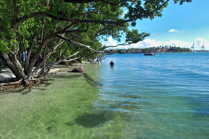 Bayside Market Place Snorkeling for Beginners - Group Size and Booking