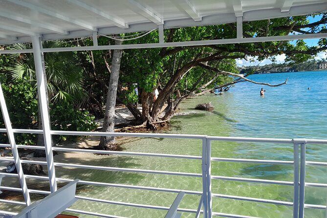 Bayside Market Place Snorkeling for Beginners - What Travelers Say