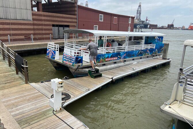 Baywatch Dolphin Tour - An In-Depth Look at the Galveston Dolphin Tour