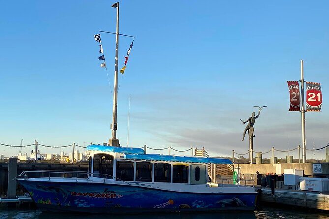 Baywatch Dolphin Tour - FAQs