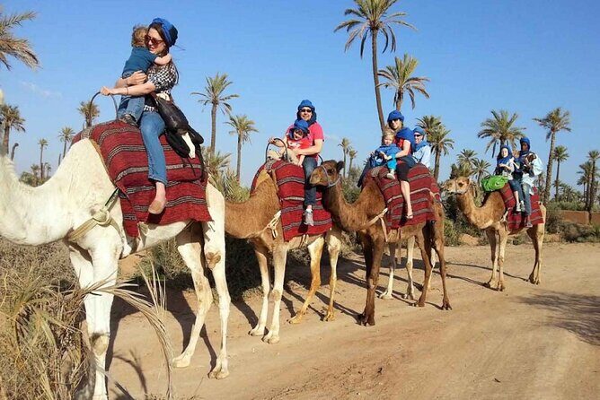 BBQ Sunset Camel Riding By the Flamingo River - Why This Tour Stands Out