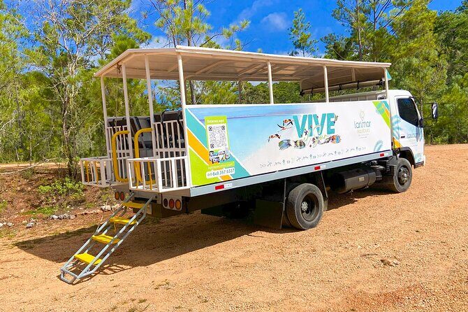Beach and Adventure Day at the Beach Club in Cabo Rojo - Who Should Consider This Tour?