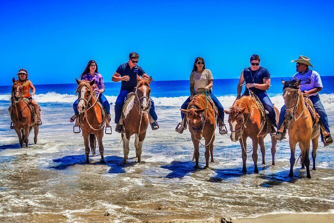 Beach and Desert UTV with Horseback Riding Experience - Final Thoughts: Who Will Love This?