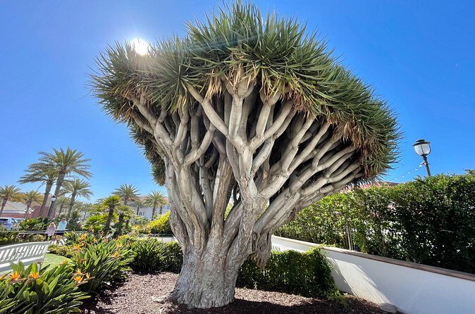 Beach and shopping Tour in San Diego (Private) - In Closing