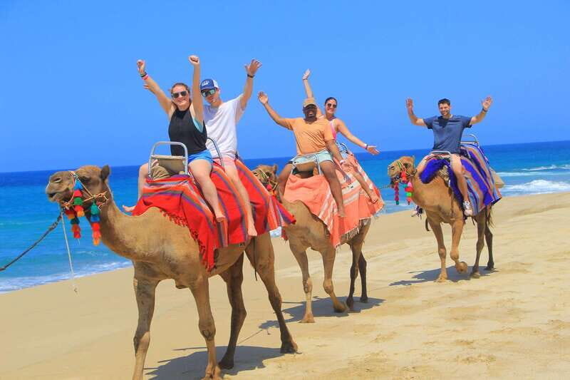 Beach ATV & Camel Ride COMBO in Cabo by Cactus Tours Park - Key Points