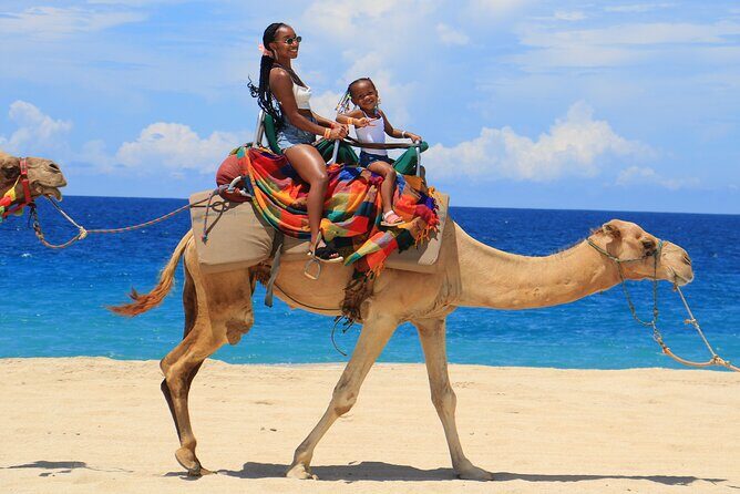 Beach ATV & Camel Ride COMBO in Cabo by Cactus Tours Park - An Adventure in the Heart of Baja: What to Expect