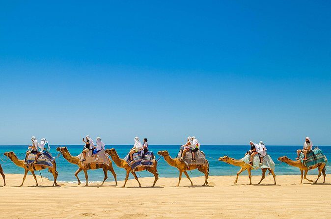 Beach ATV y Camel Ride y Sky Bike Adventure - The Sum Up