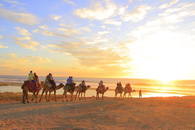 Beach Camel Ride & Encounter in Cabo - Who Will Love This Tour?