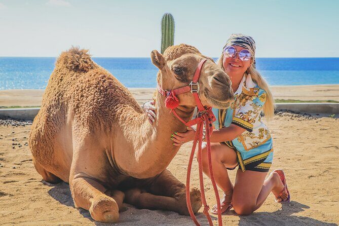 Beach Camel Ride & Encounter in Cabo - The Sum Up: Who Is This Tour Best For?