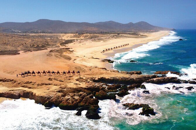 Beach CAN-AM SXS X3 & Camel Ride in Cabo by Cactus Tours Park - Who Will Love This Tour?