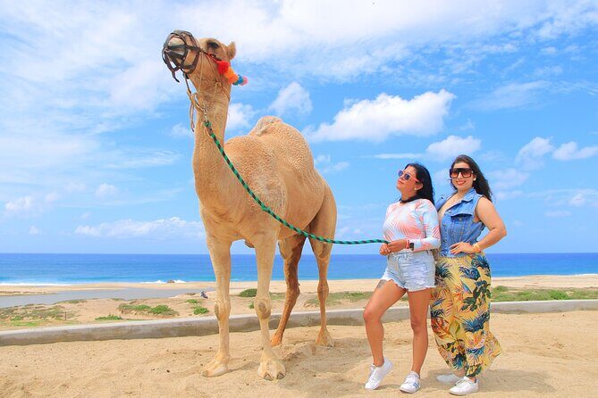 Beach CAN-AM SXS X3 & Camel Ride in Cabo by Cactus Tours Park - Final Thoughts: Is It Worth It?