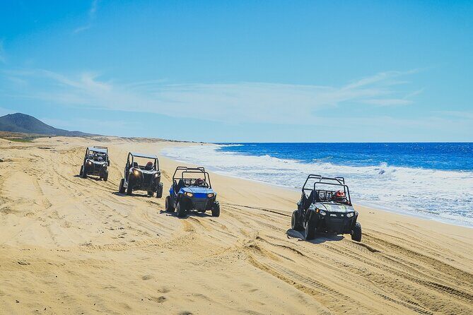 Beach CAN-AM SXS X3 & Horseback Ride in Cabo by Cactus Tours Park - The Sum Up