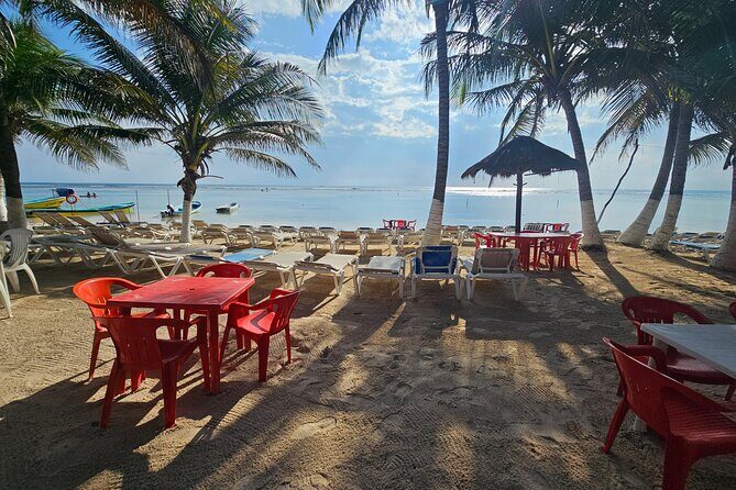 Beach club restaurant kraken - Welcome to Our Review of Kraken Beach Club in Costa Maya