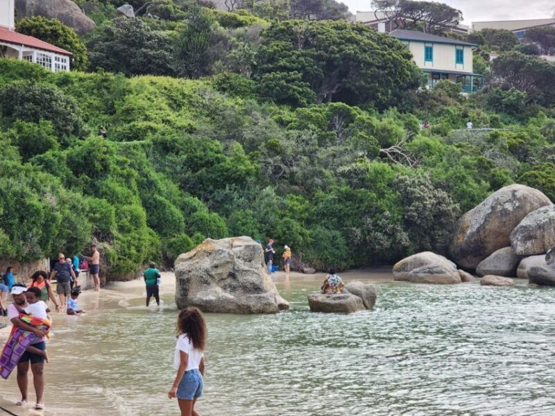 Beach Day at Boulder's Beach & Penguin watching, Half Day - Who Will Enjoy This Tour?