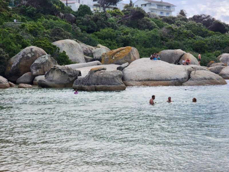 Beach Day at Boulder's Beach & Penguin watching, Half Day - Summary: The Value of This Experience