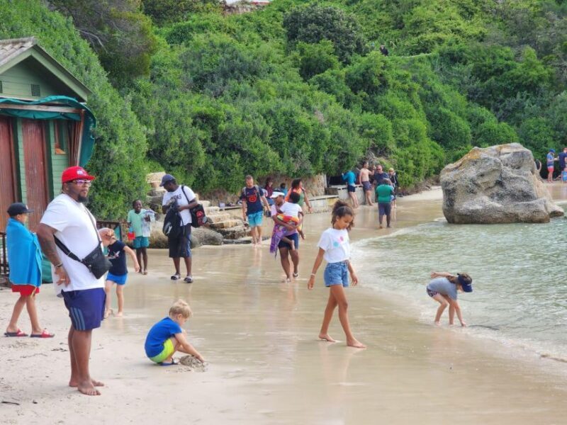 Beach Day at Boulder's Beach & Penguin watching, Half Day - FAQ