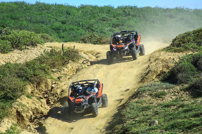 Beach & Desert Premium X3 UTV Tour in Cabo by Cactus Tours Park - How the Tour Works for Different Types of Travelers
