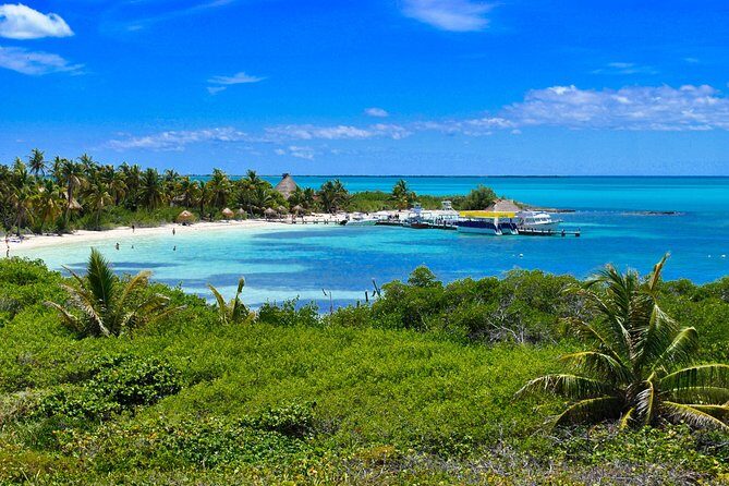 Beach Escape: Isla Contoy and Isla Mujeres with Snorkeling. - An Overview of the Tour