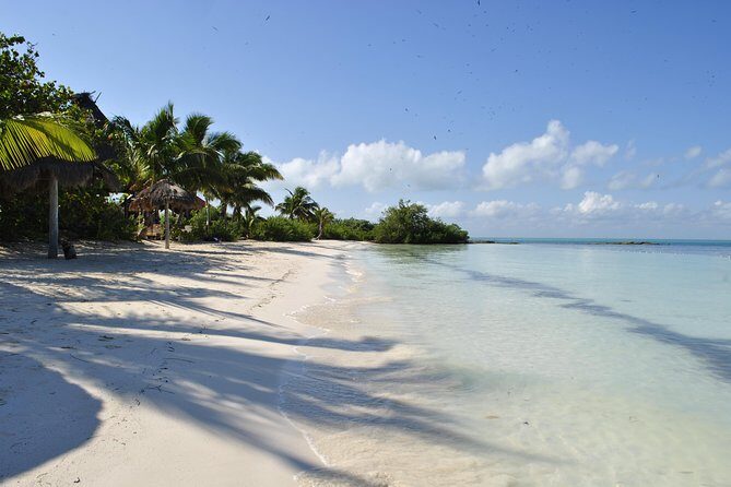 Beach Escape: Isla Contoy and Isla Mujeres with Snorkeling. - Transportation and Group Size