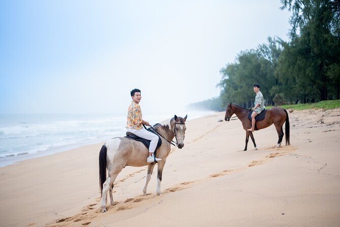 Beach Horse Riding Activity in Phuket - Exploring the Details of Phuket’s Beach Horseback Riding Tour
