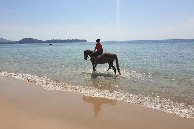 Beach Horse Riding Activity in Phuket - Final Thoughts