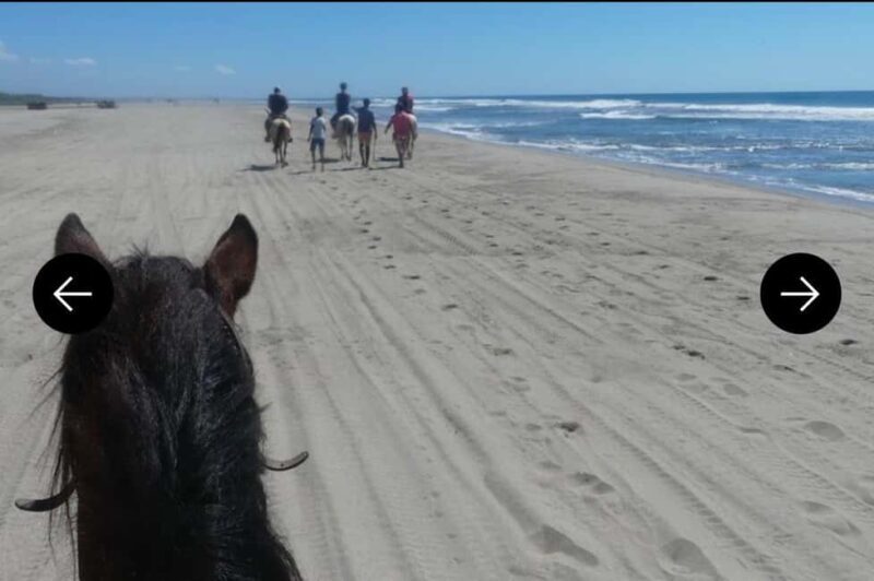 .Beach Horse Riding Turtle Release Crocodile Farm Experience - Beach Horse Riding, Turtle Release, and Crocodile Farm Experience in Acapulco
