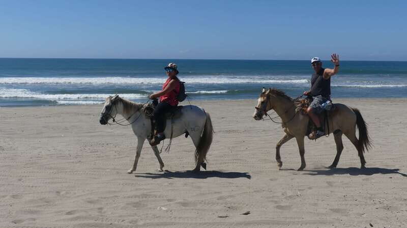 .Beach Horse Riding Turtle Release Crocodile Farm Experience - What to Expect and What’s Not Included