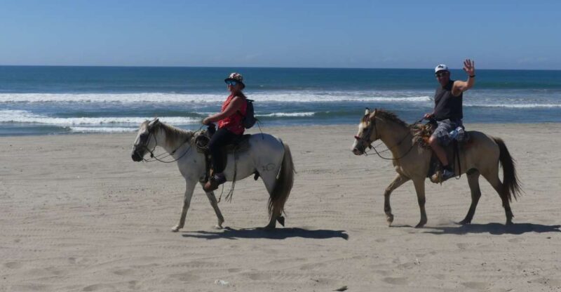 .Beach Horse Riding Turtle Release Crocodile Farm Experience - Authentic Experiences That Make a Difference