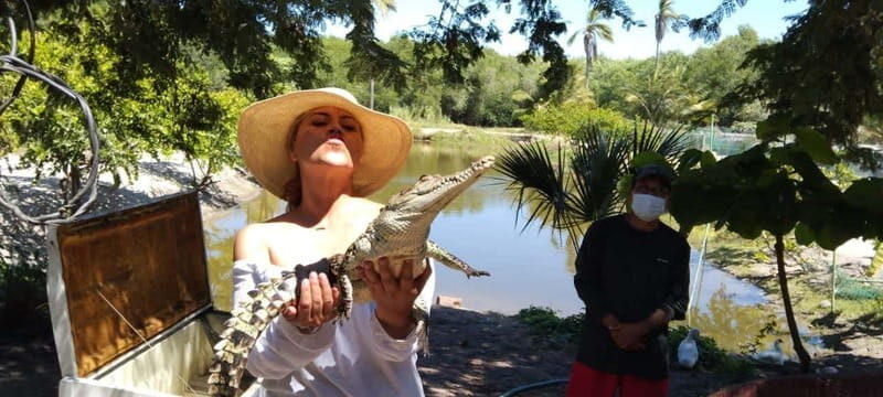 .Beach Horse Riding Turtle Release Crocodile Farm Experience - Who Will Love This Experience?