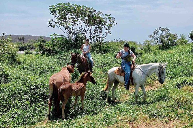 Beach Horseback Riding Adventure in Copalita, Huatulco - FAQ
