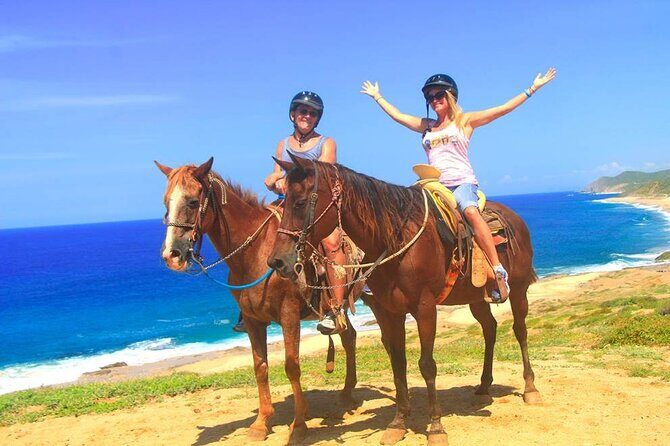 Beach Horseback Riding in Los Cabos - Why Choose the Beach Horseback Ride in Los Cabos?