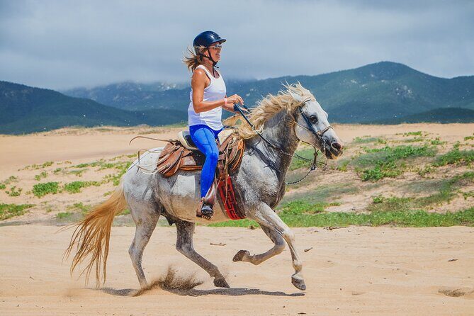 Beach Horseback Riding in Los Cabos - FAQ