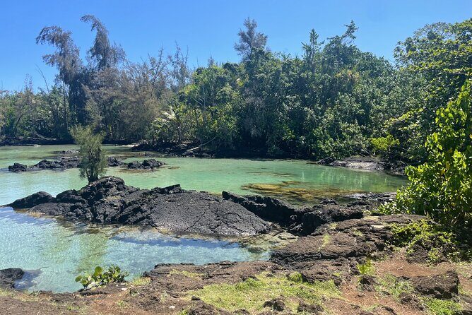 Beach Snorkel - Sea Turtle and Black Sand Lagoon - Who Will Love This Tour?