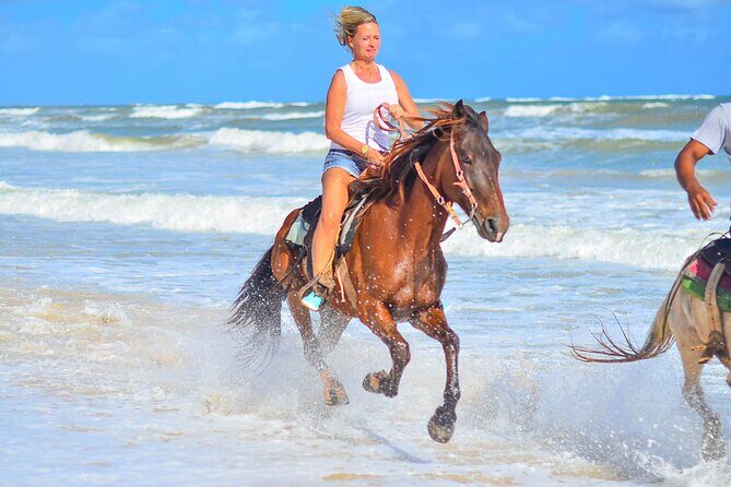 Beach Sunset on Horse Riding in Punta Cana(Private Option) - Key Points
