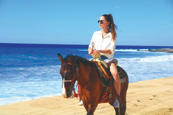 Beach UTV and Horseback Riding in Cabo - Who Should Consider This Tour?