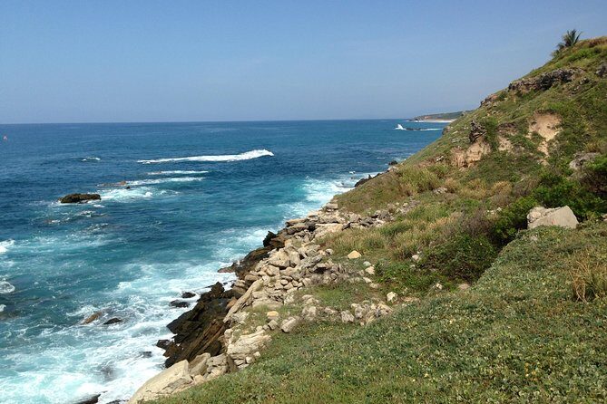 Beaches Dolphins And Viewpoints Discovering The Hidden Port By Sea And Land - FAQ