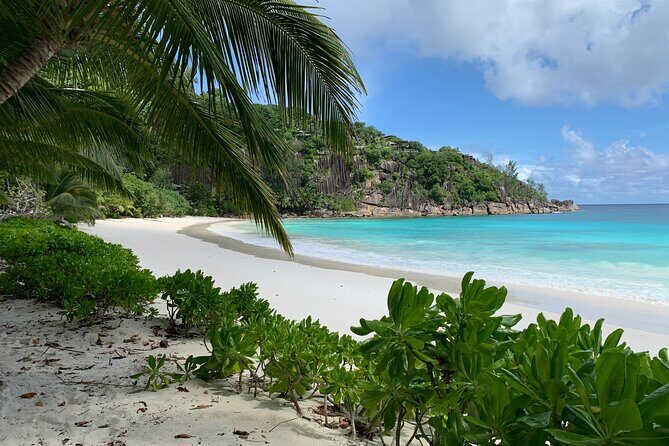 Beaches, swimming & snorkeling | Mahe, Seychelles | Private Tour - Key Points