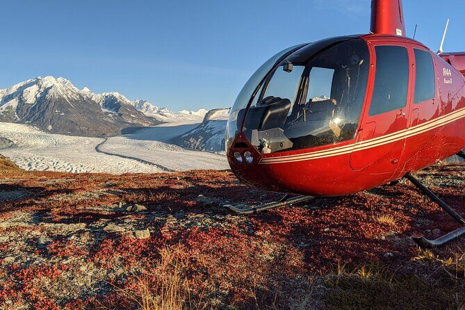 Bear Glacier Helicopter Tour with Landing - Key Points
