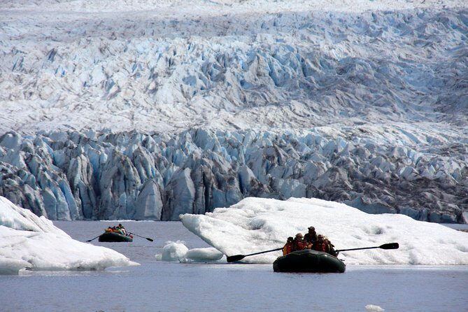 Bears, Trains & Icebergs Tour - Final Thoughts