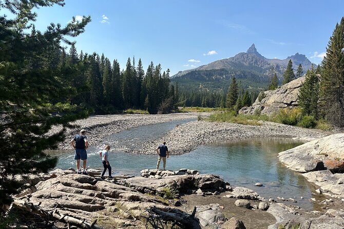 Beartooth Highway Small Group Tour with Wildlife Guide - An Introduction to the Tour Experience